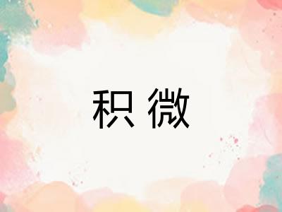 积微