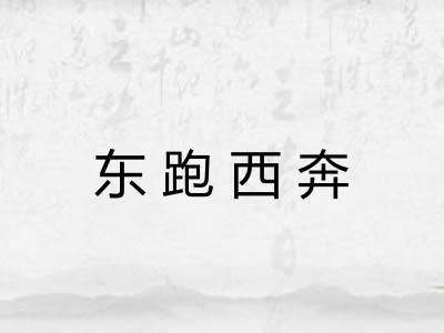 东跑西奔