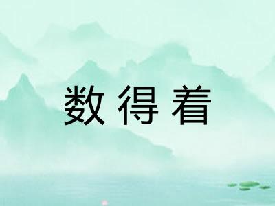数得着