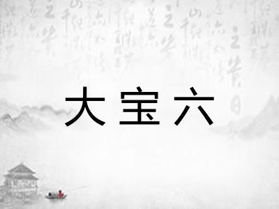 大宝六