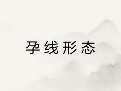 孕线形态