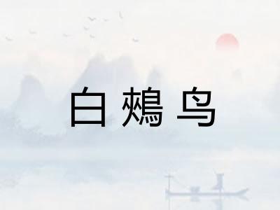 白鵊鸟