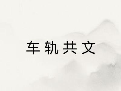 车轨共文