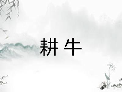 耕牛