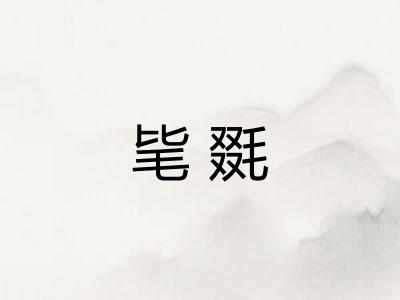 毞毲