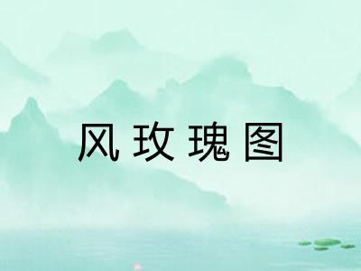 风玫瑰图