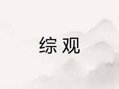 综观