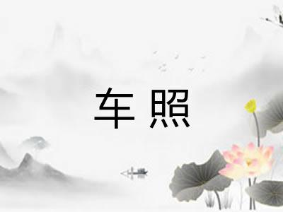 车照