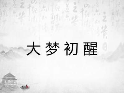 大梦初醒