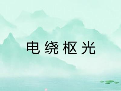 电绕枢光