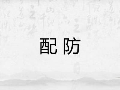 配防