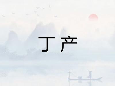丁产