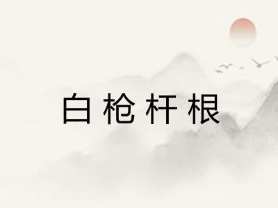 白枪杆根