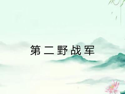 第二野战军
