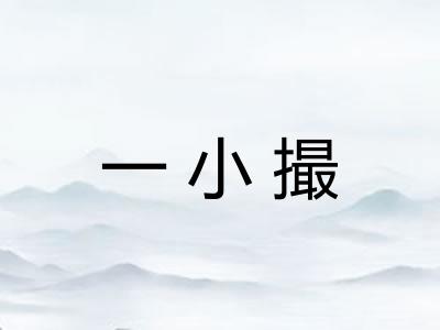 一小撮