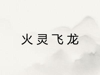 火灵飞龙