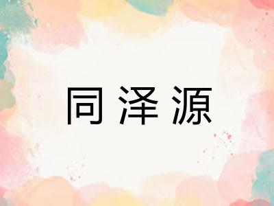 同泽源