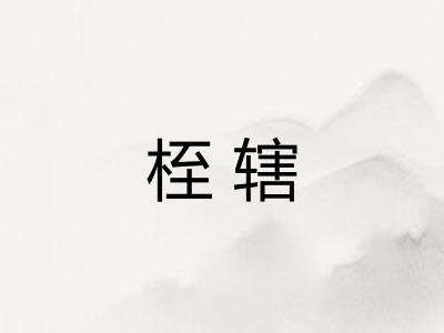 桎辖