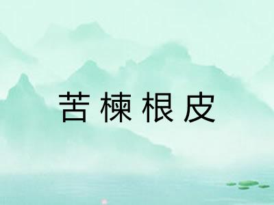 苦楝根皮