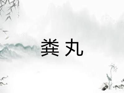 粪丸