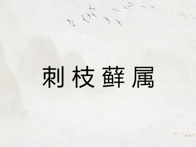 刺枝藓属