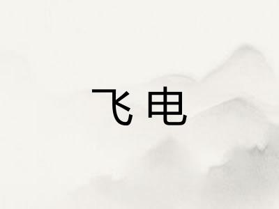 飞电