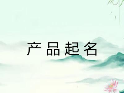 产品起名
