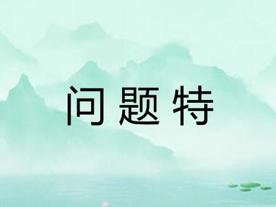 问题特