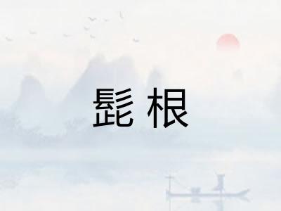 髭根