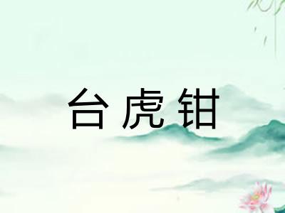 台虎钳