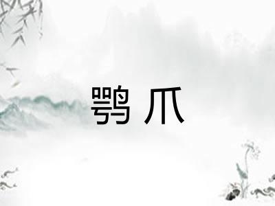 鹗爪