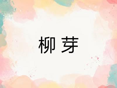 柳芽