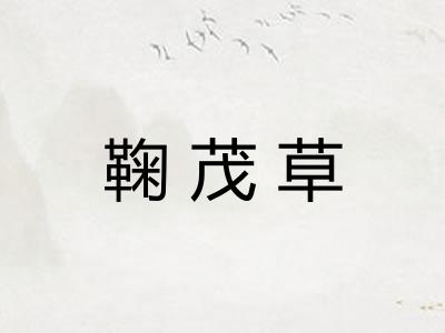 鞠茂草