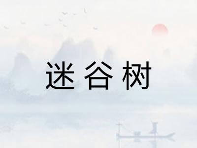 迷谷树
