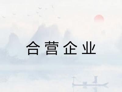 合营企业