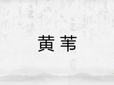 黄苇