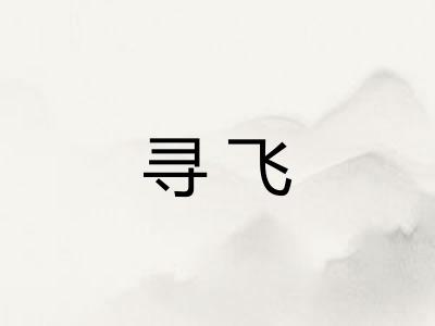 寻飞