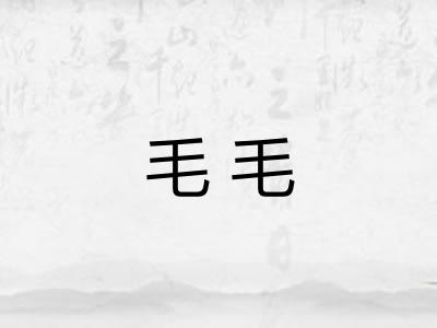毛毛