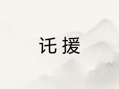 讬援