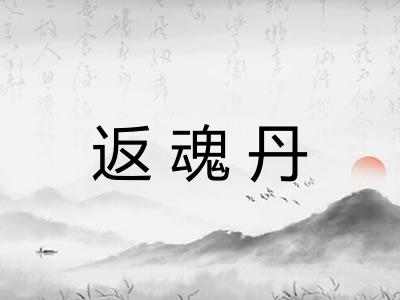 返魂丹