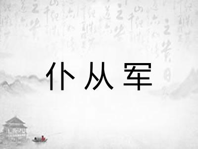 仆从军