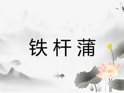 铁杆蒲
