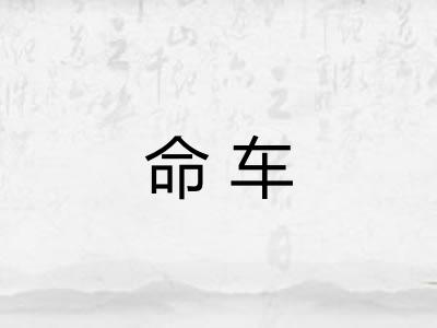 命车