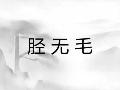 胫无毛