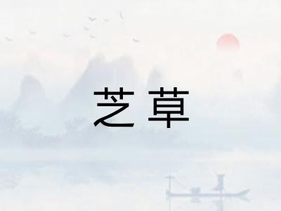 芝草
