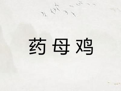 药母鸡
