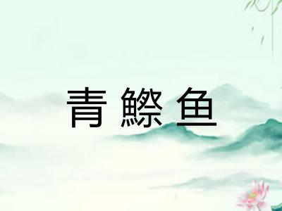 青鰶鱼