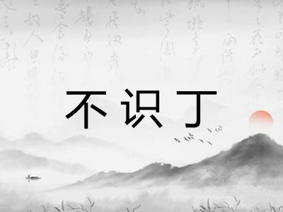 不识丁
