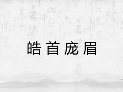 皓首庞眉