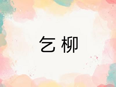 乞柳